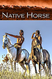 Native Horse