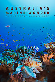 Australia's Marine Wonder on the Great Barrier Reef