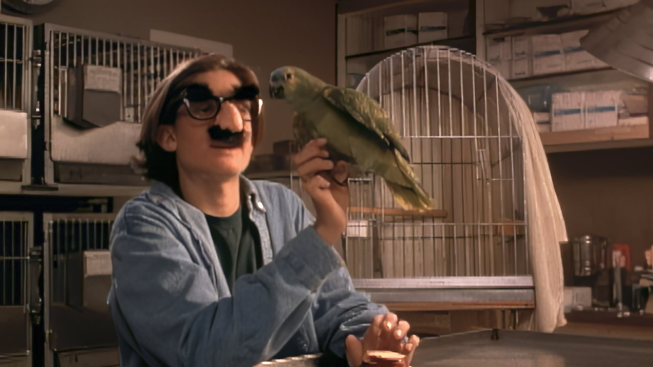 The Goodbye Bird