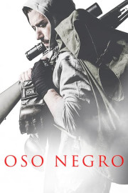 Oso negro