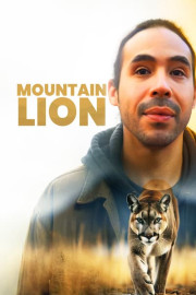 Mountain Lion