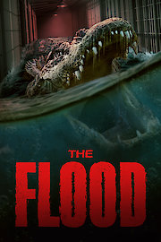 FLOOD, THE