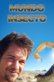 Mundo insecto