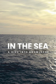 In the Sea: A Dive Into Knowledge