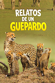 Relatos de un guepardo
