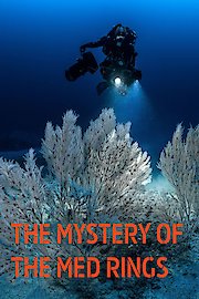 The Mystery of the Med Rings
