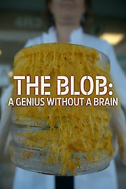 The Blob: A Genius Without a Brain