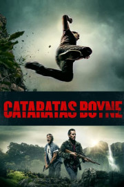 Cataratas Boyne