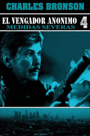 El vengador 4: yo soy la justicia