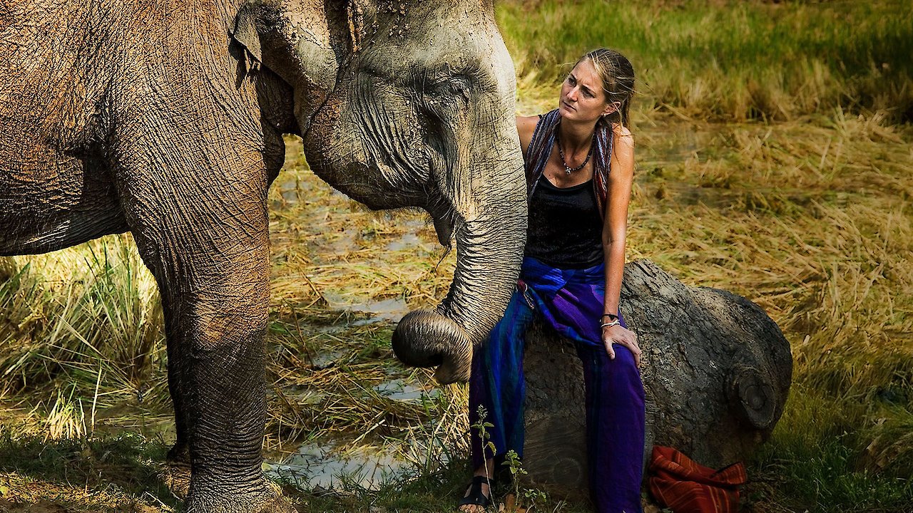 Elephant, Return to the Wild