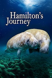 Hamiltons Journey