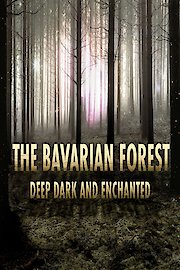 Bavarian Forest