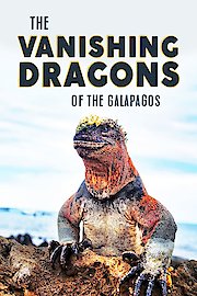 Vanishing Dragons of the Galapagos