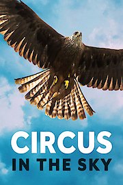 Circus in the Sky