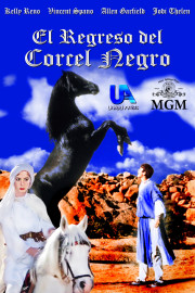 El regreso del corcel negro