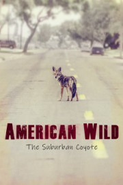 American Wild