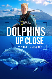Dolphins Up Close with Bertie Gregory