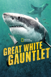Great White Gauntlet
