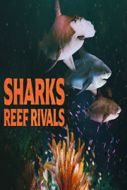 Sharks: Reef Rivals