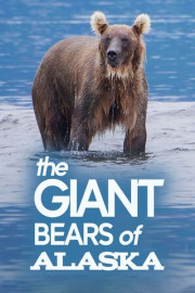 The Giant Bears of Alaska
