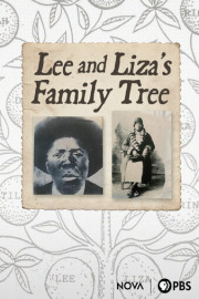 NOVA: Lee and Liza's Family Tree