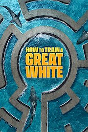 How to Train a Great White