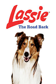 Lassie: The Road Back