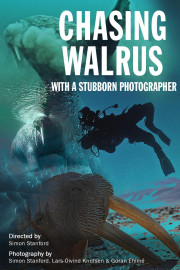 Chasing Walrus