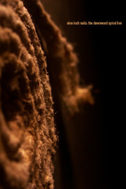 Nine Inch Nails: The Downward Spiral
