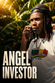 Angel Investor