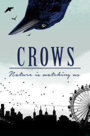 Crows: Nature Is Watching Us