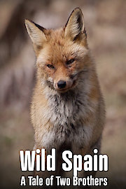 Wild Spain - A Tale of Two Brothers