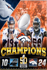 Super Bowl Champions 2015 - Denver Broncos