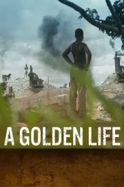 A Golden Life