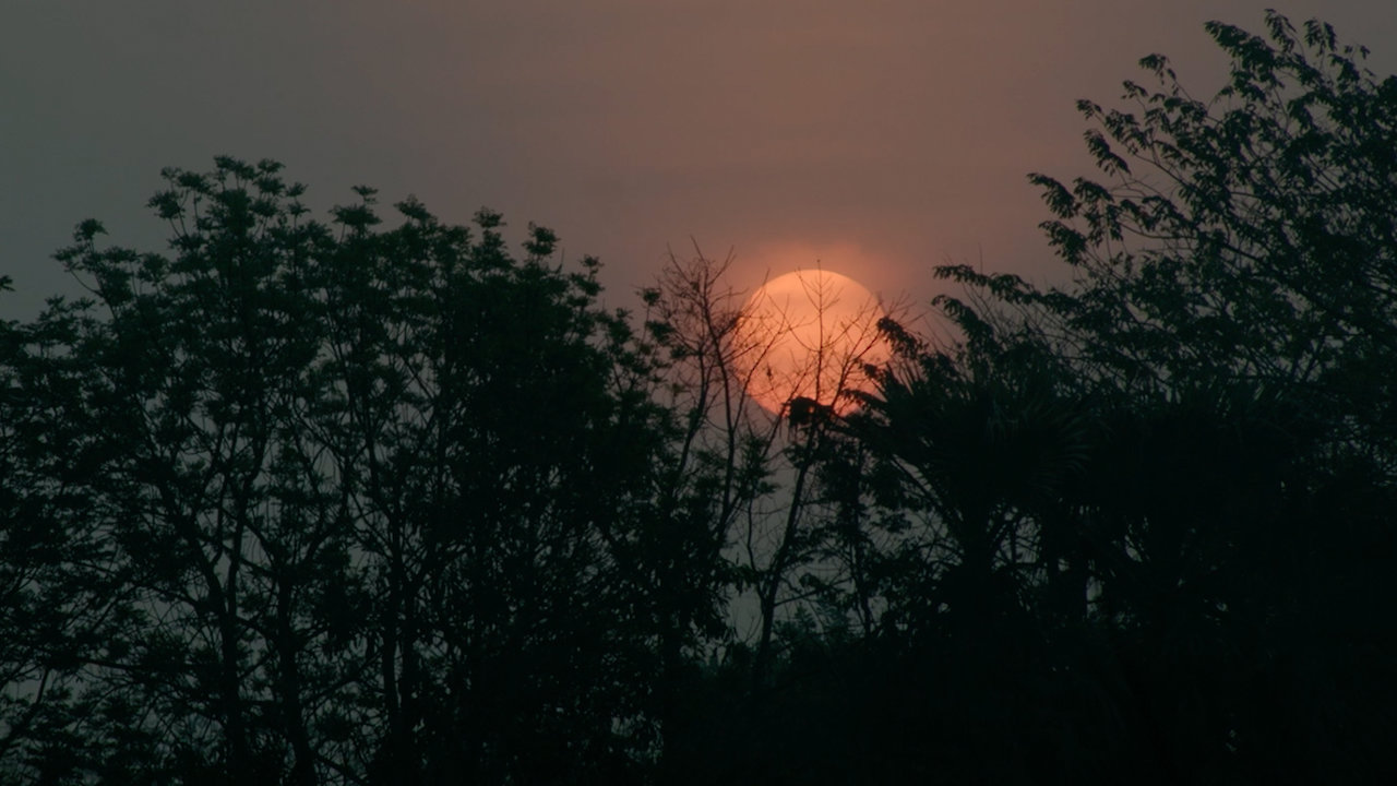 Waning Moon