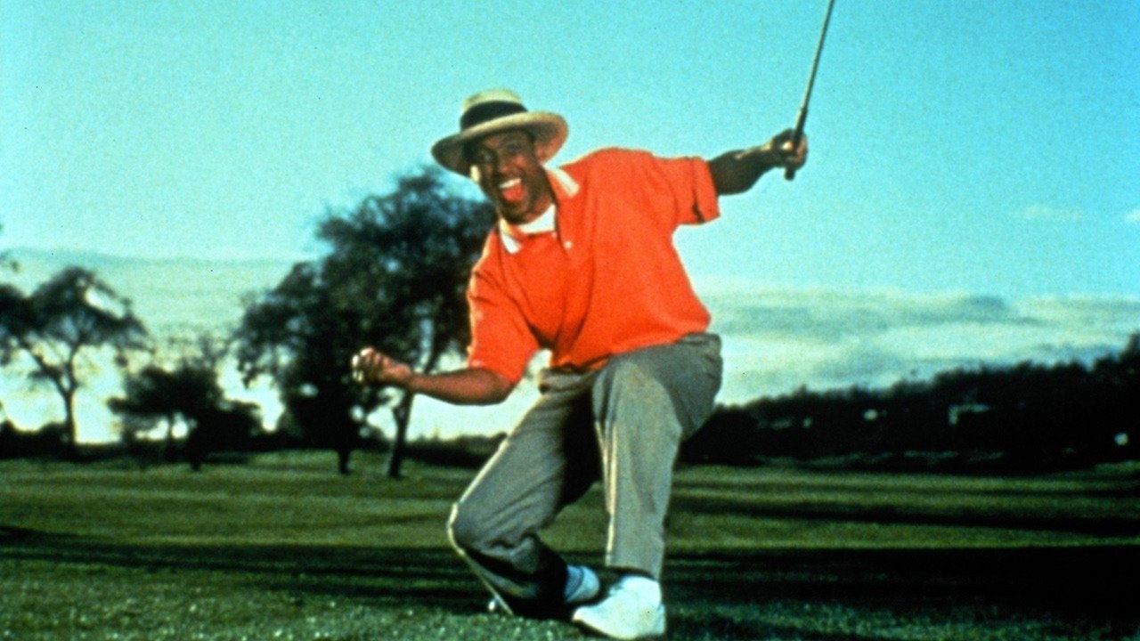 Tiger Woods Story
