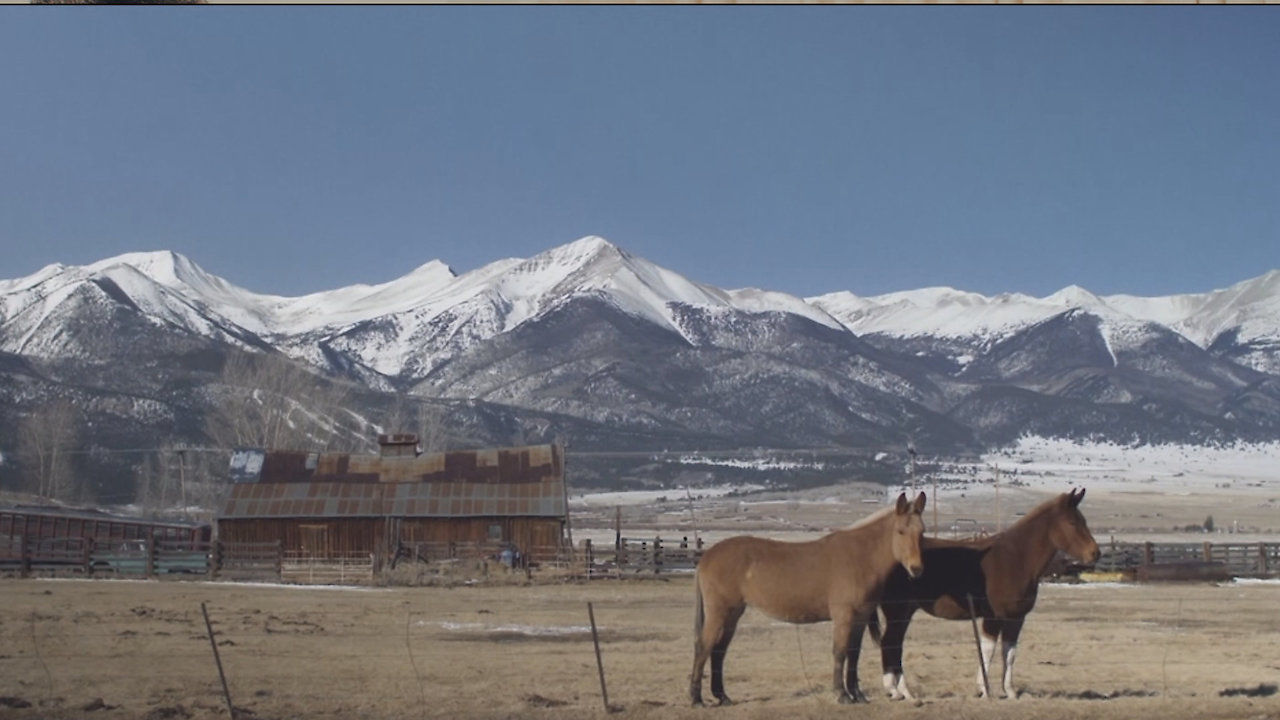 The Documerica Project: America's Forgotten Pictures