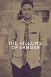 The Pigeons of Lahore