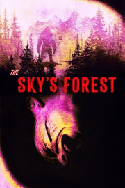The Sky's Forest