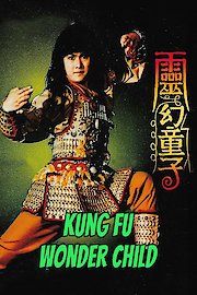 Kung Fu Wonderchild