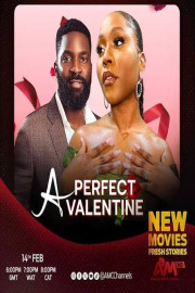 A Perfect Valentine