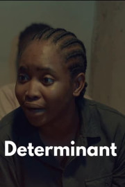 Determinant