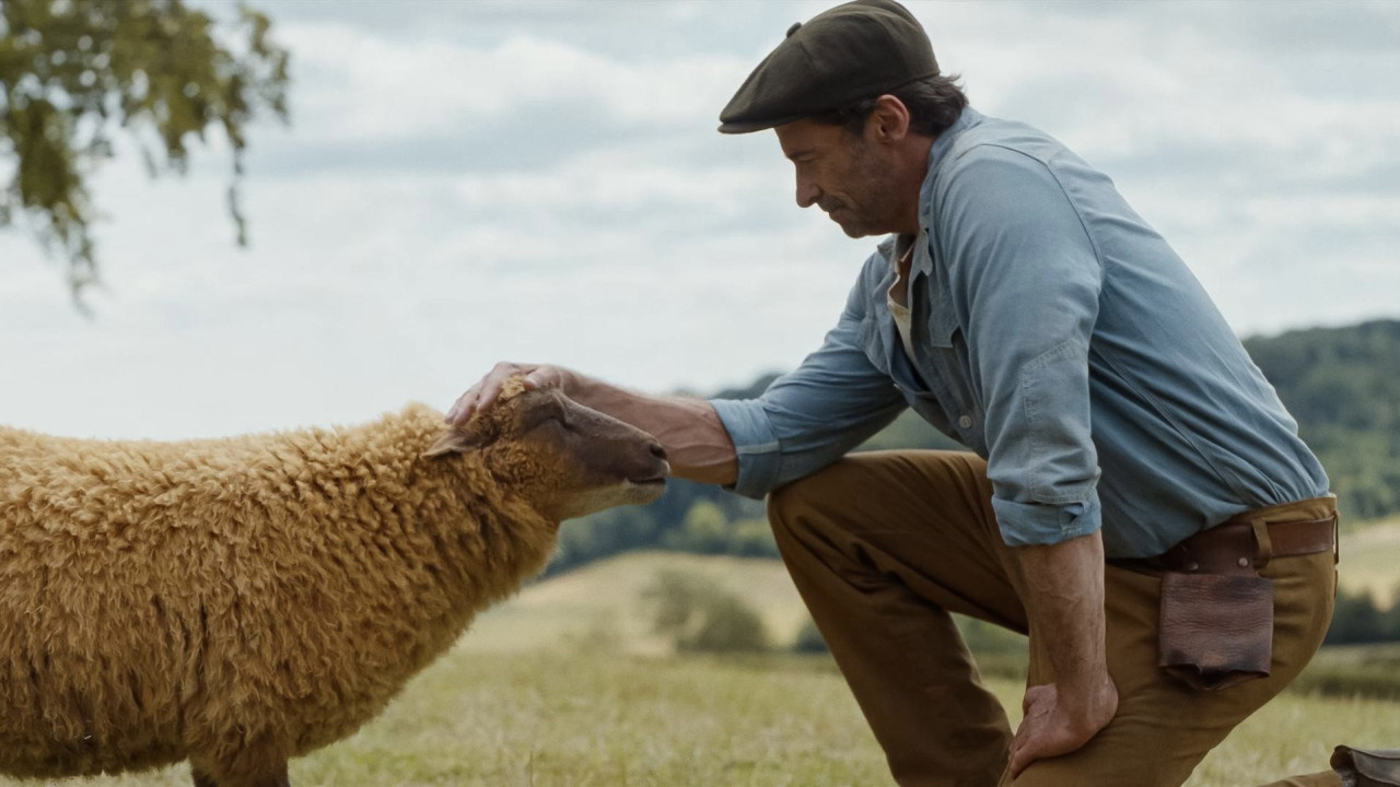 The Sheep Detectives