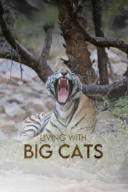 Living With Big Cats