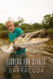 Fishing for Giants: Barracuda