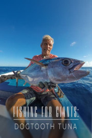 Fishing for Giants: Dogtooth Tuna
