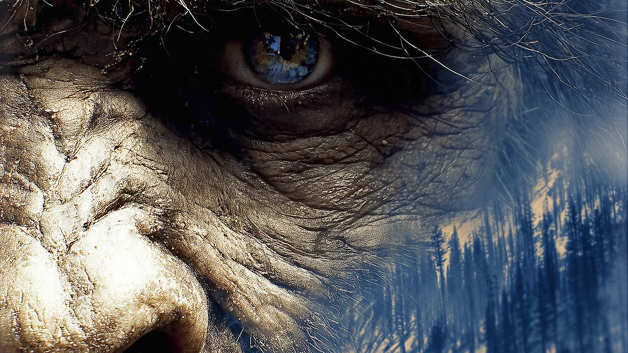 Strange Places: The Lost Bigfoot Highway