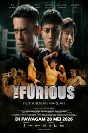 The Furious: Pertaruhan Maruah