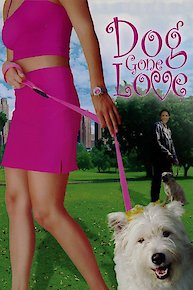 Dog Gone Love