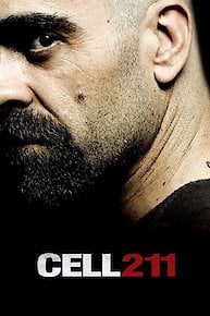 Cell 211